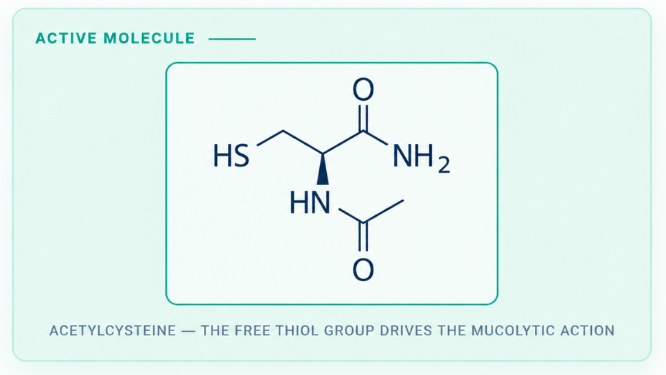 Acetylcysteine structural formula — the free thiol group drives the mucolytic action