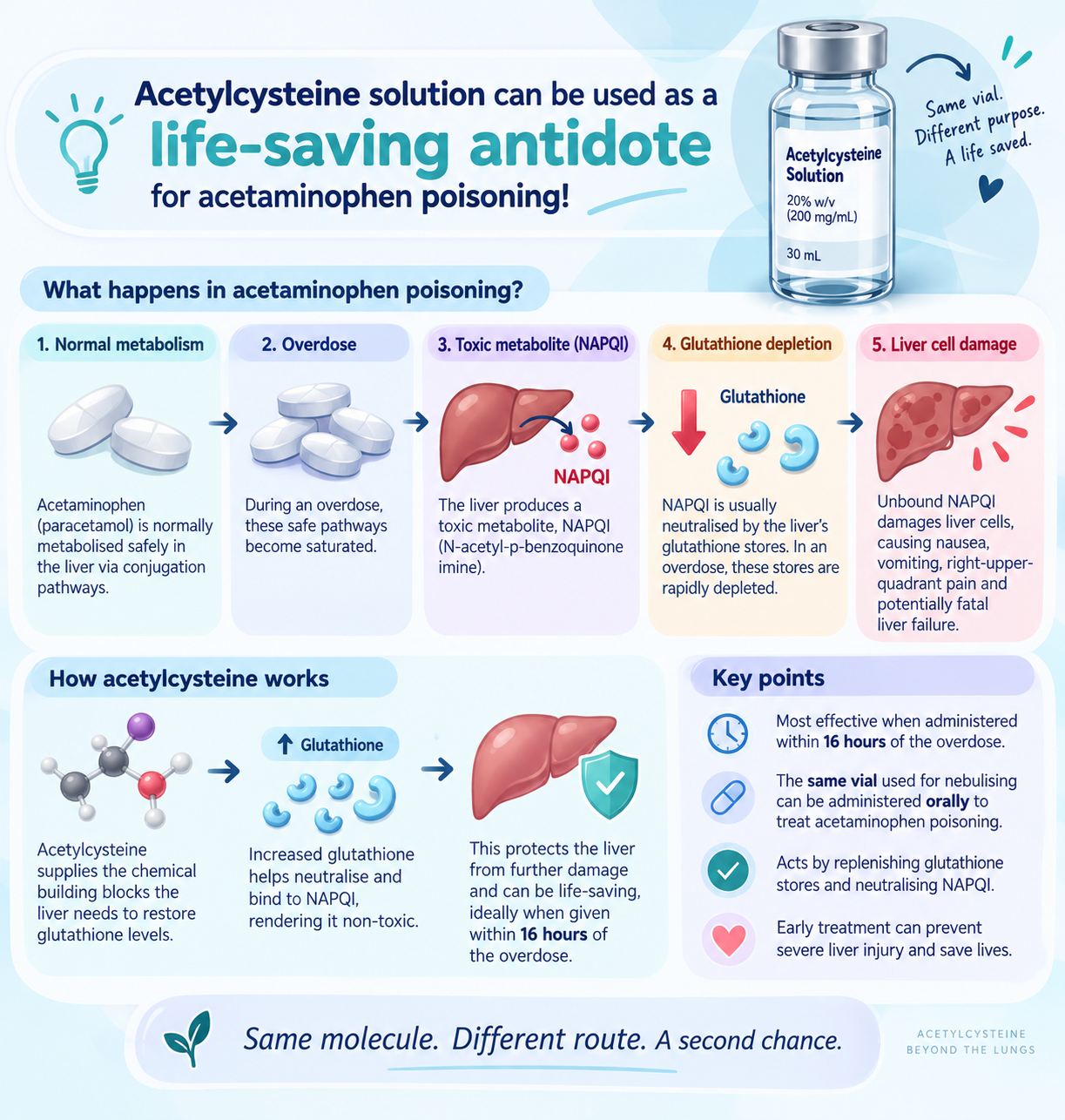 Acetylcysteine can be used as a life-saving antidote for acetaminophen poisoning